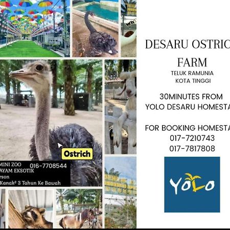 Desaru Homestay-Eva Villa Pool Homestay By Yolo Resort Bandar Penawar Eksteriør bilde