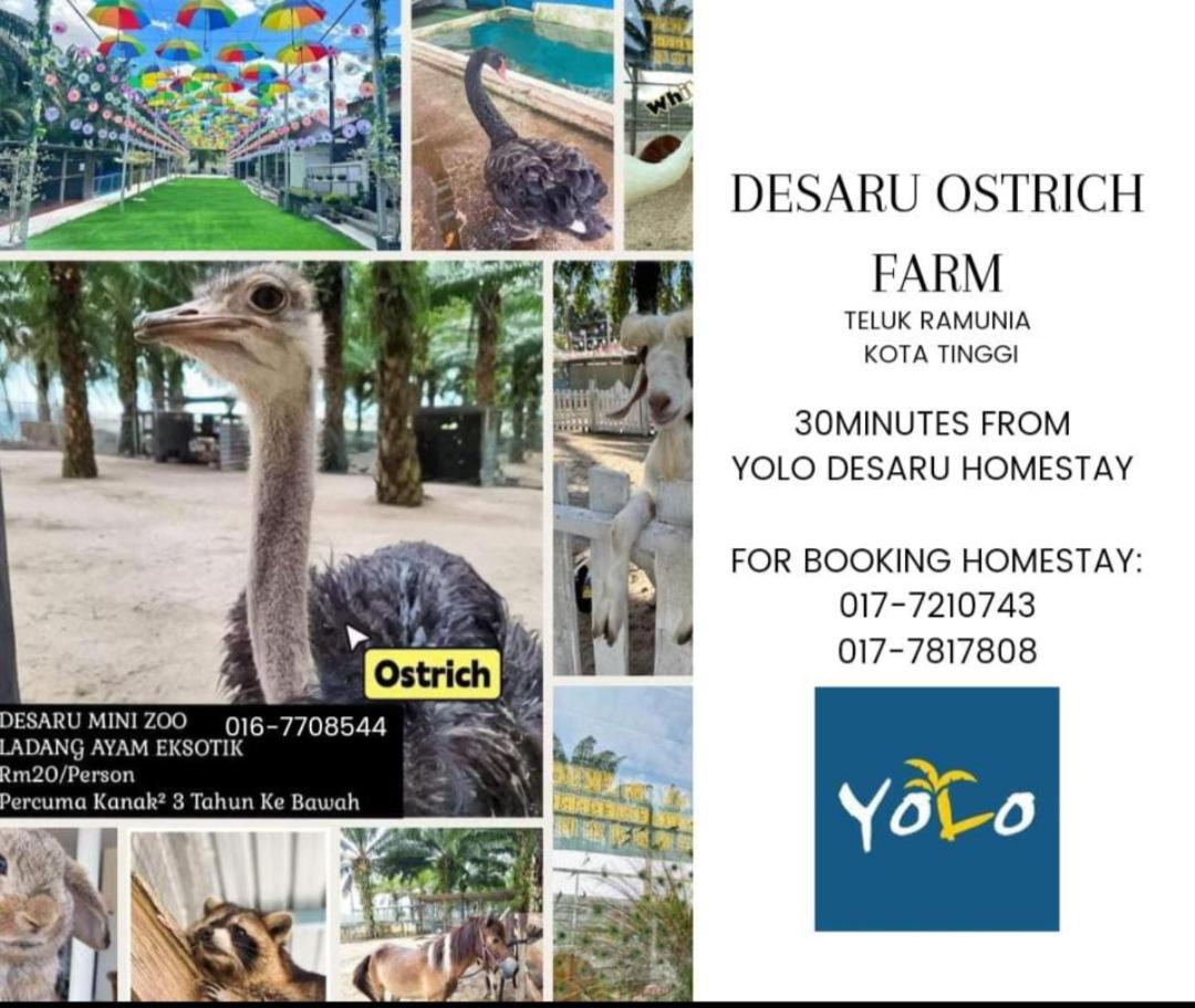 Desaru Homestay-Eva Villa Pool Homestay By Yolo Resort Bandar Penawar Eksteriør bilde